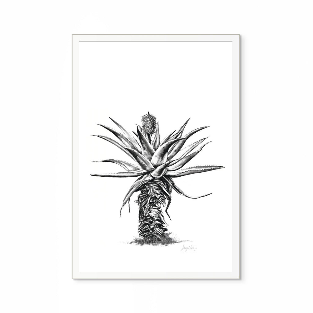Aloe V Print