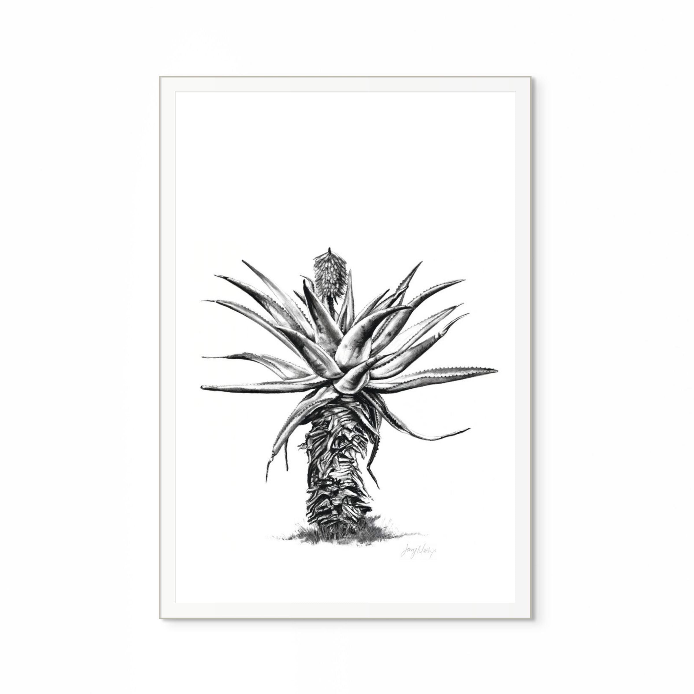 Aloe V Print