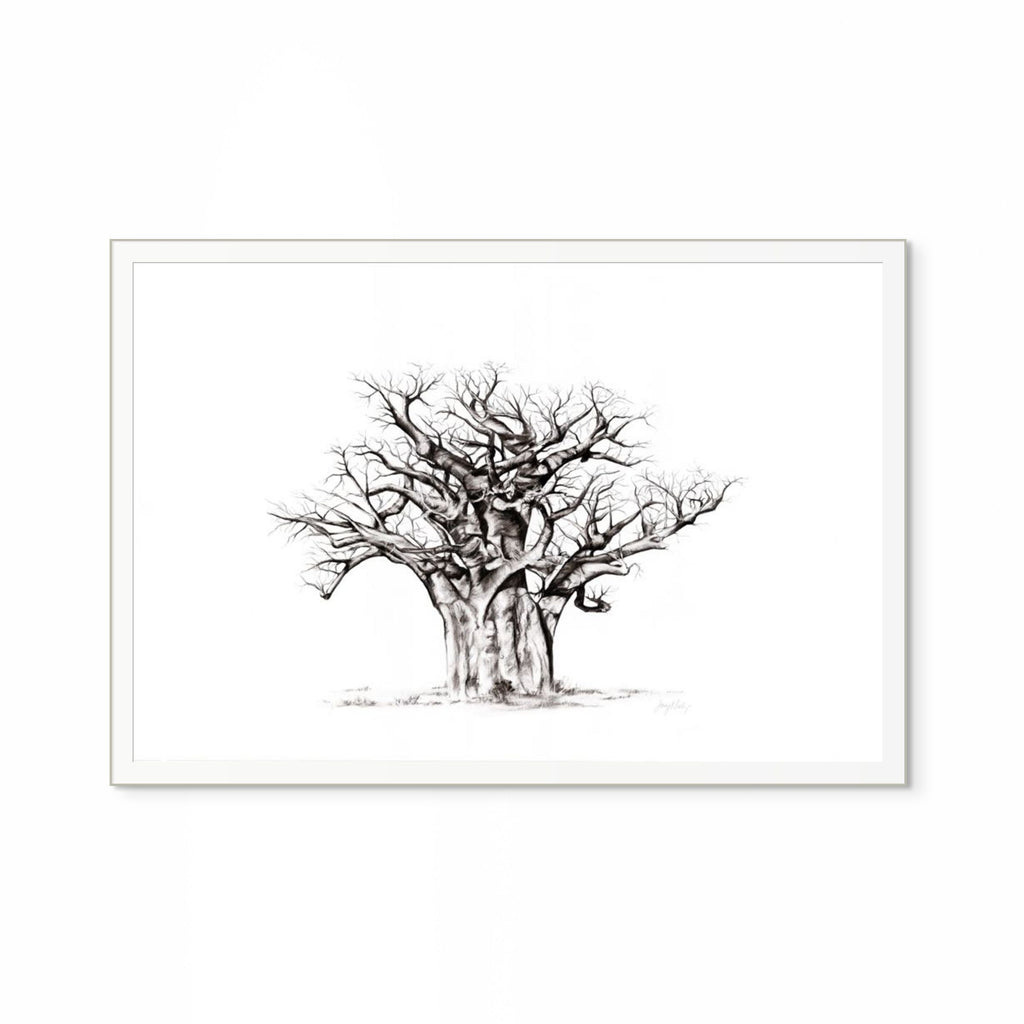 Baobab I Print