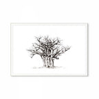 Baobab I Print