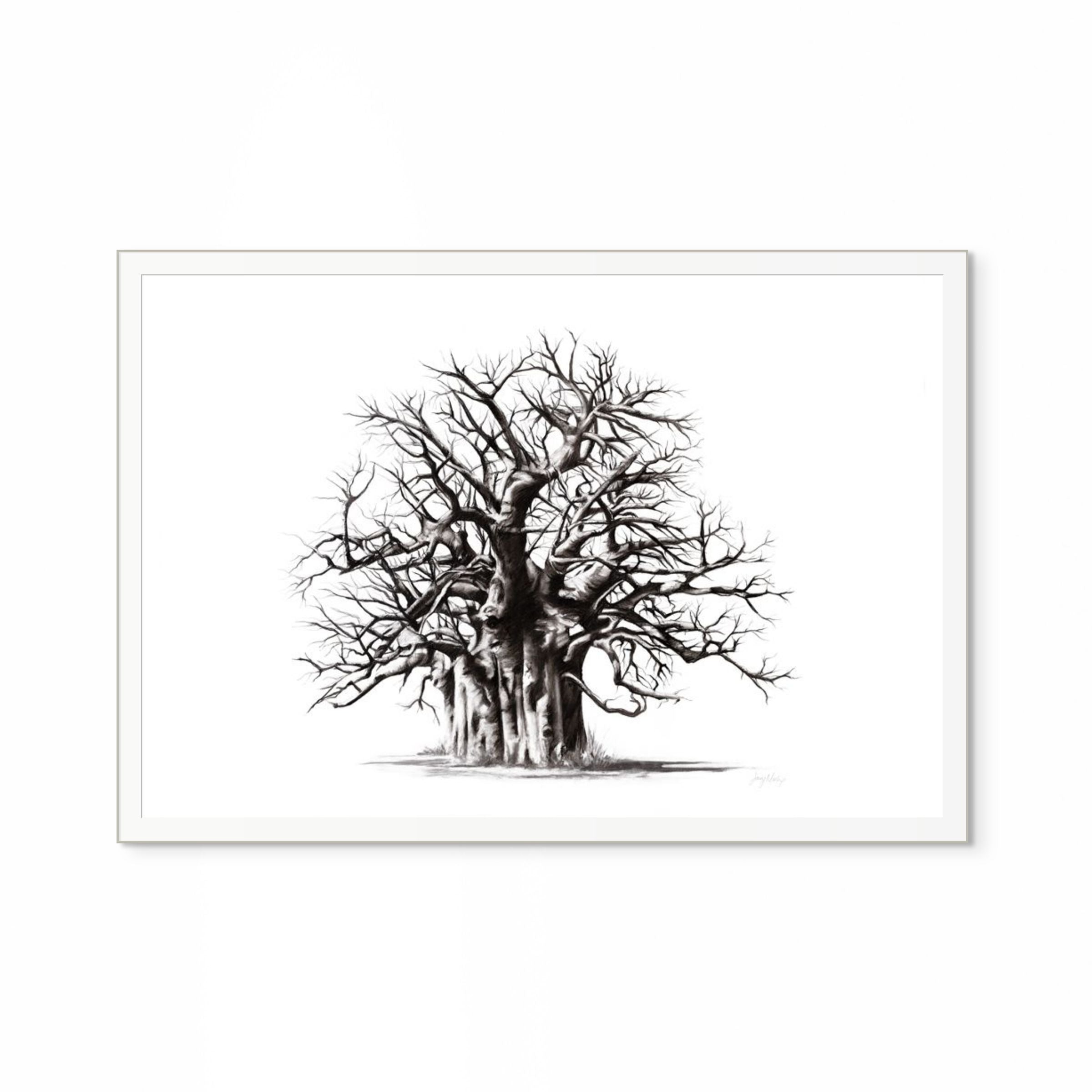 Baobab II Print