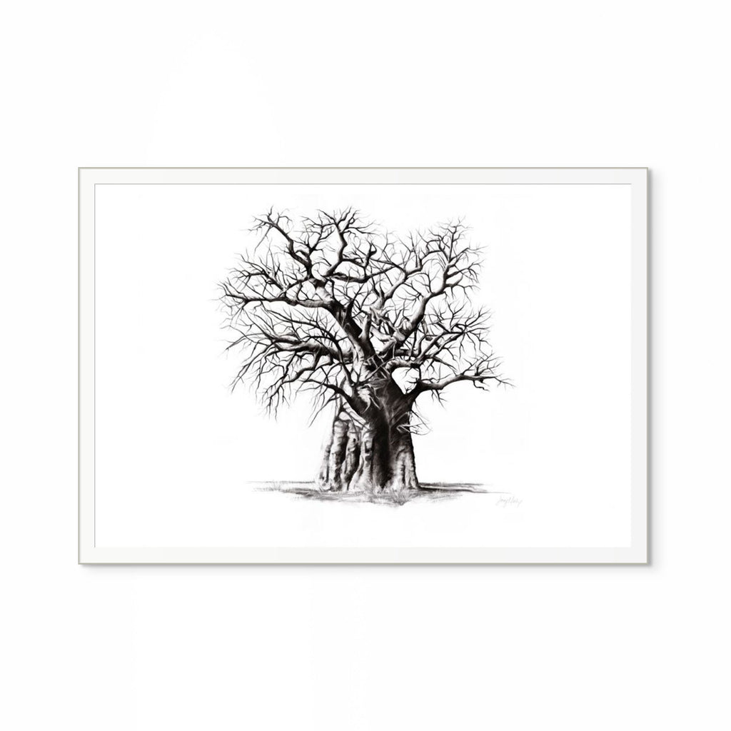 Baobab III Print