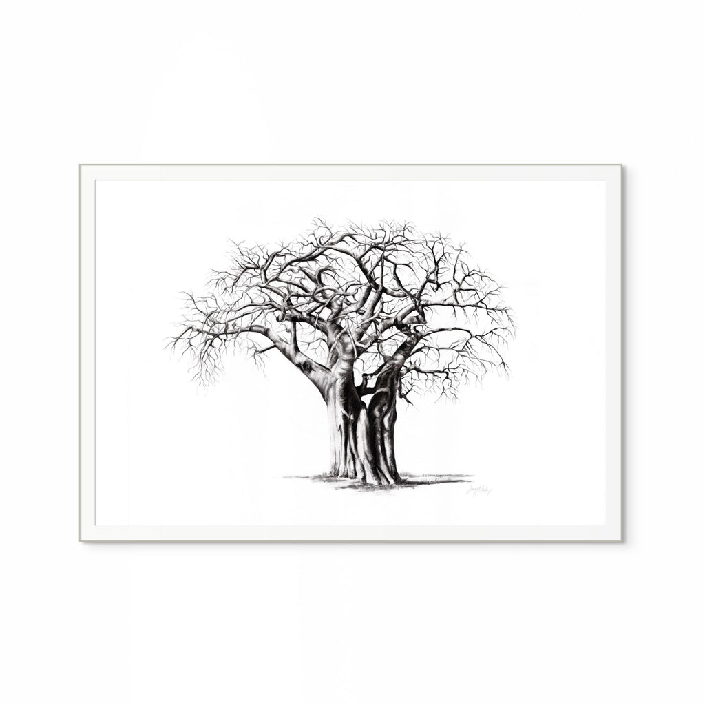 Baobab IV Print