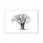 Baobab IV Print