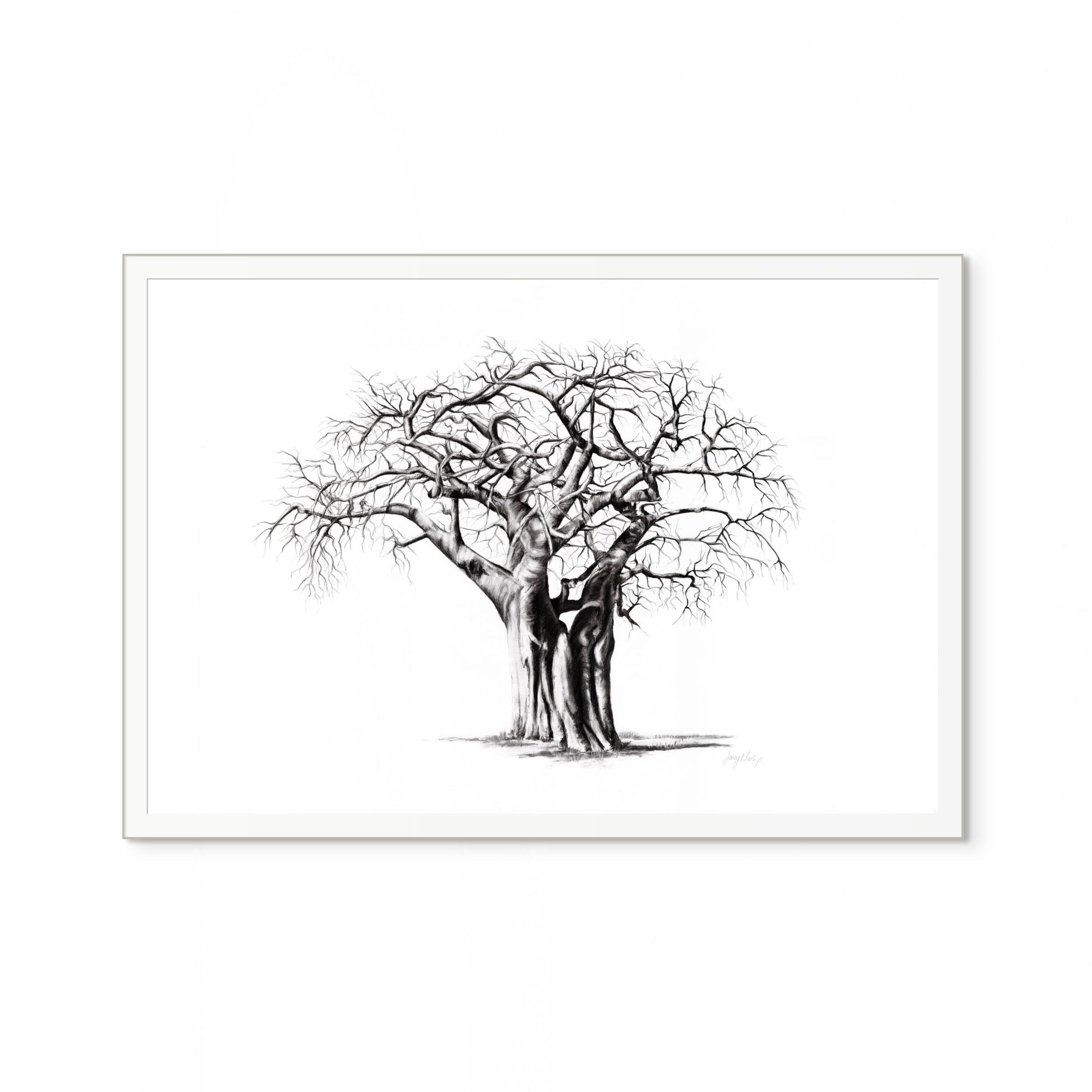 Baobab IV Print