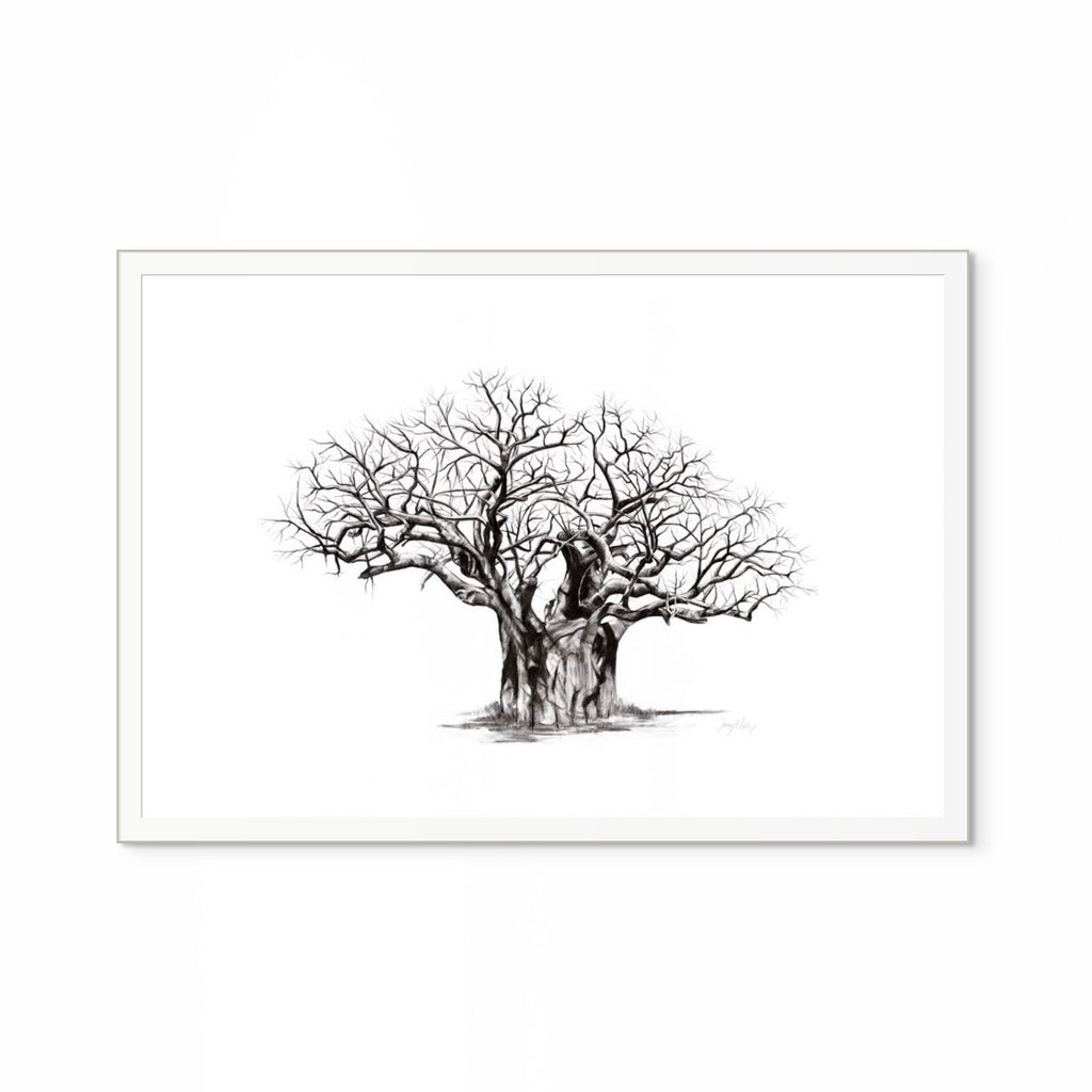 Baobab V Print