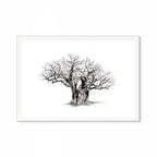 Baobab V Print