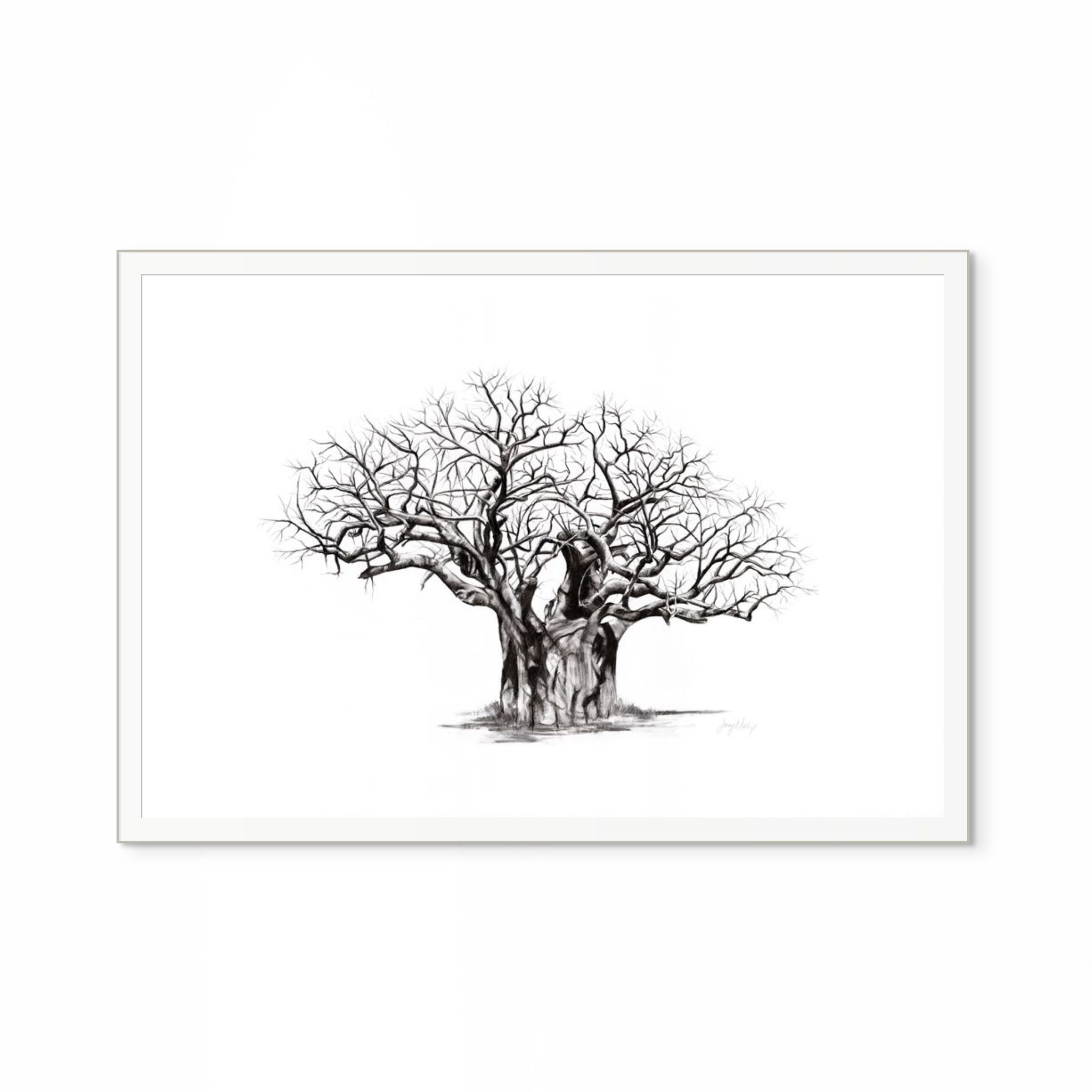 Baobab V Print