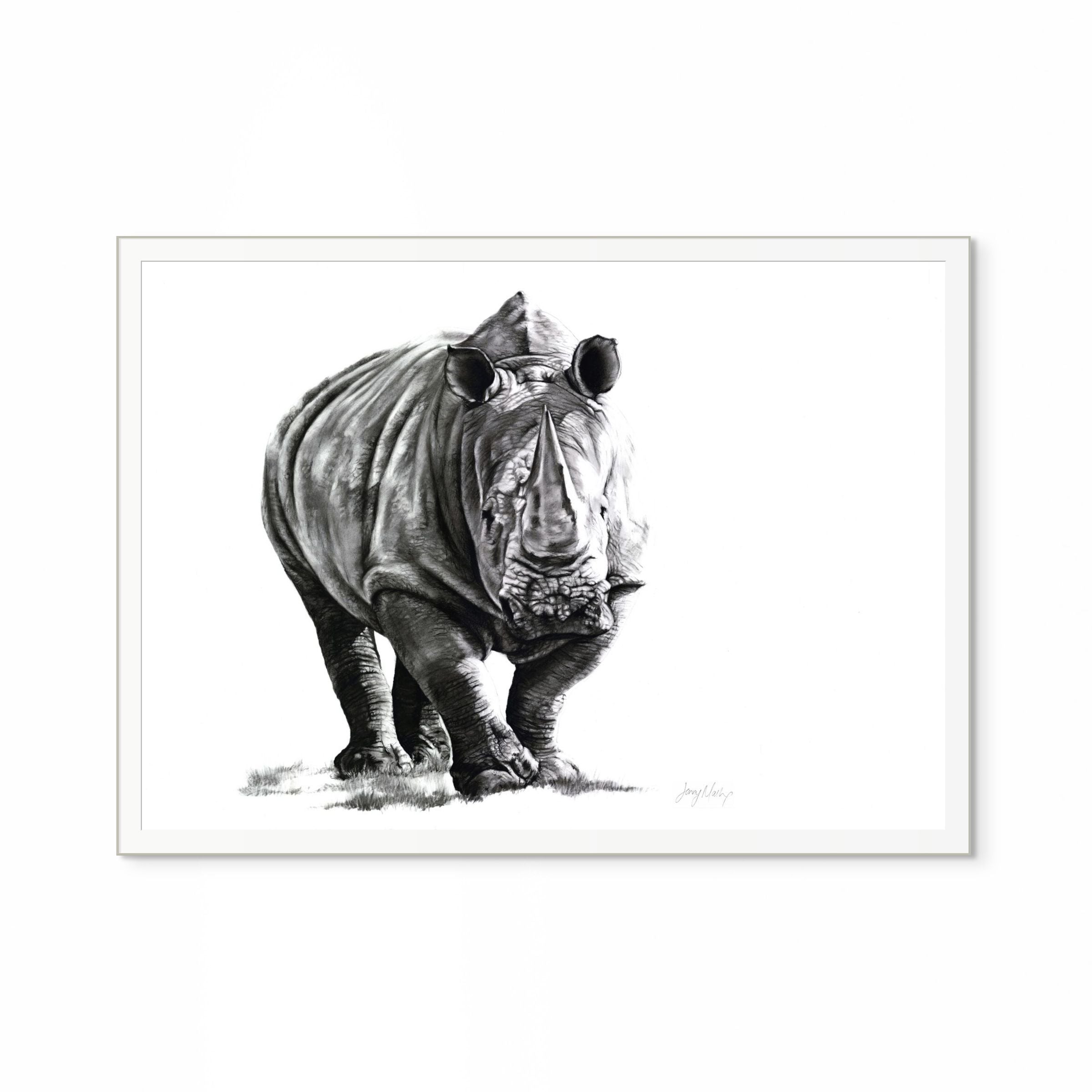Rhino II Print
