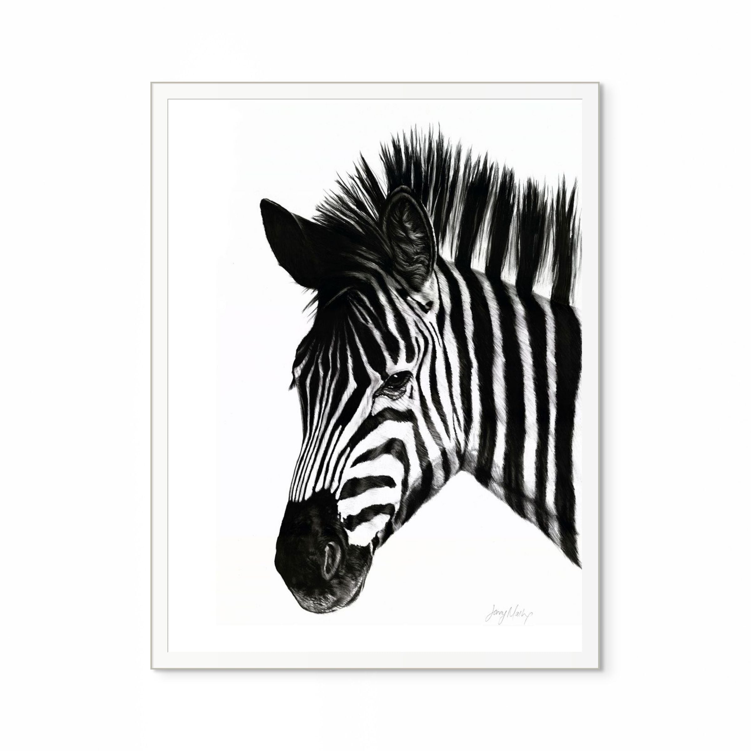 Zebra I Print