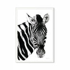 Zebra II Print
