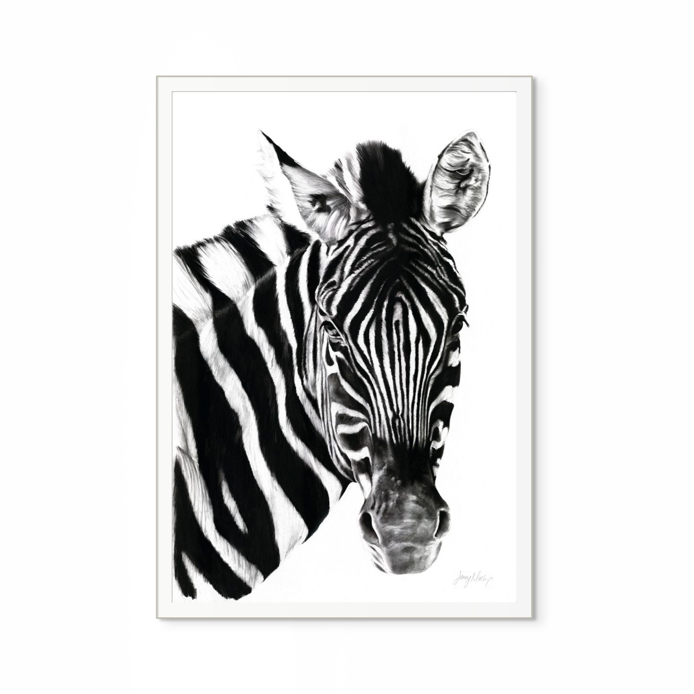 Zebra II Print