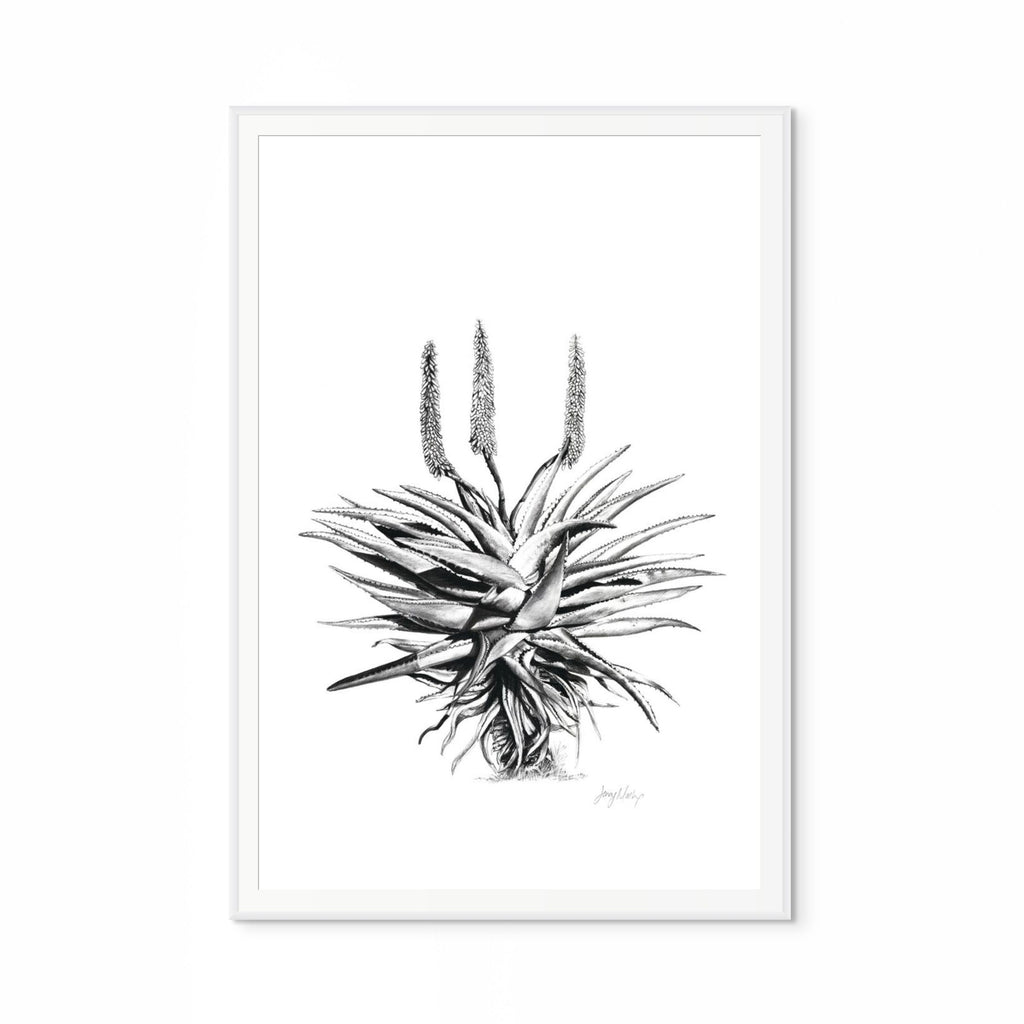 Aloe I Print