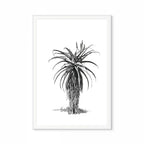 Aloe III Print
