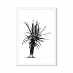 Aloe IV Print