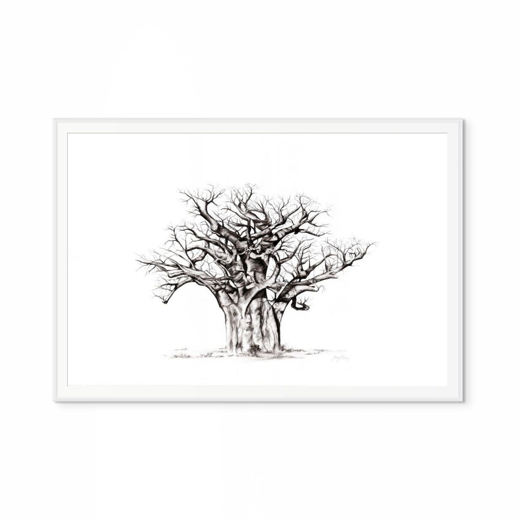 Baobab I Print
