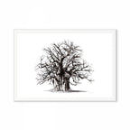 Baobab II Print