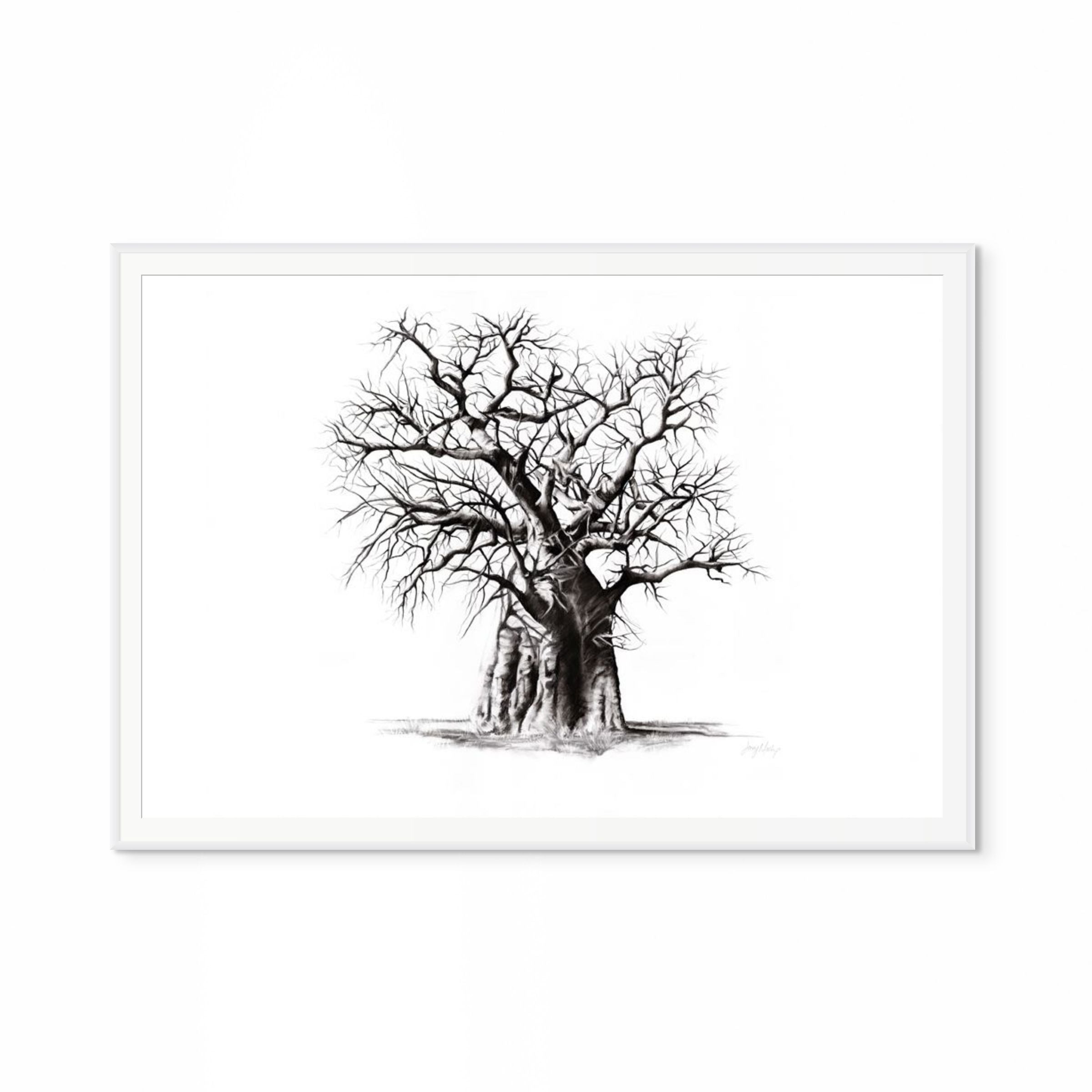 Baobab III Print