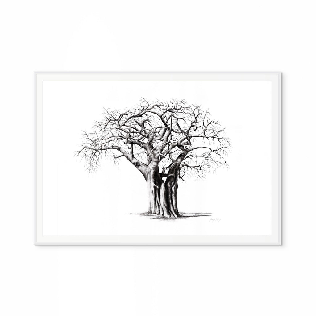 Baobab IV Print