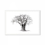 Baobab IV Print
