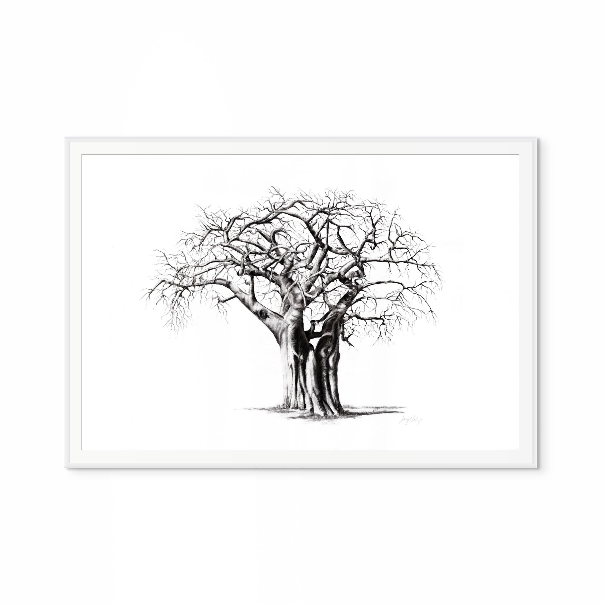 Baobab IV Print