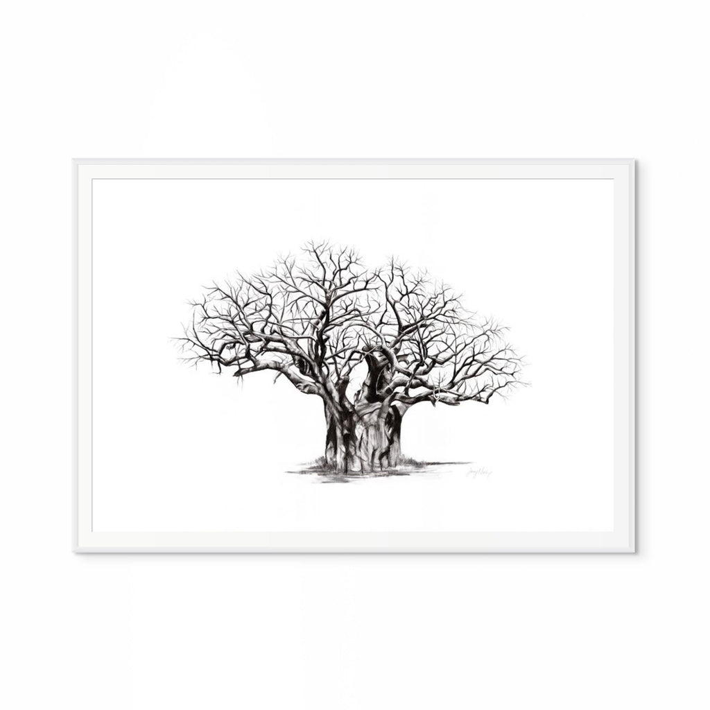 Baobab V Print