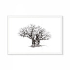 Baobab V Print