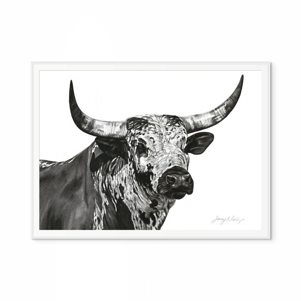 Nguni Bull Head (Landscape) Print