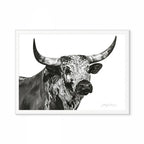 Nguni Bull Head (Landscape) Print