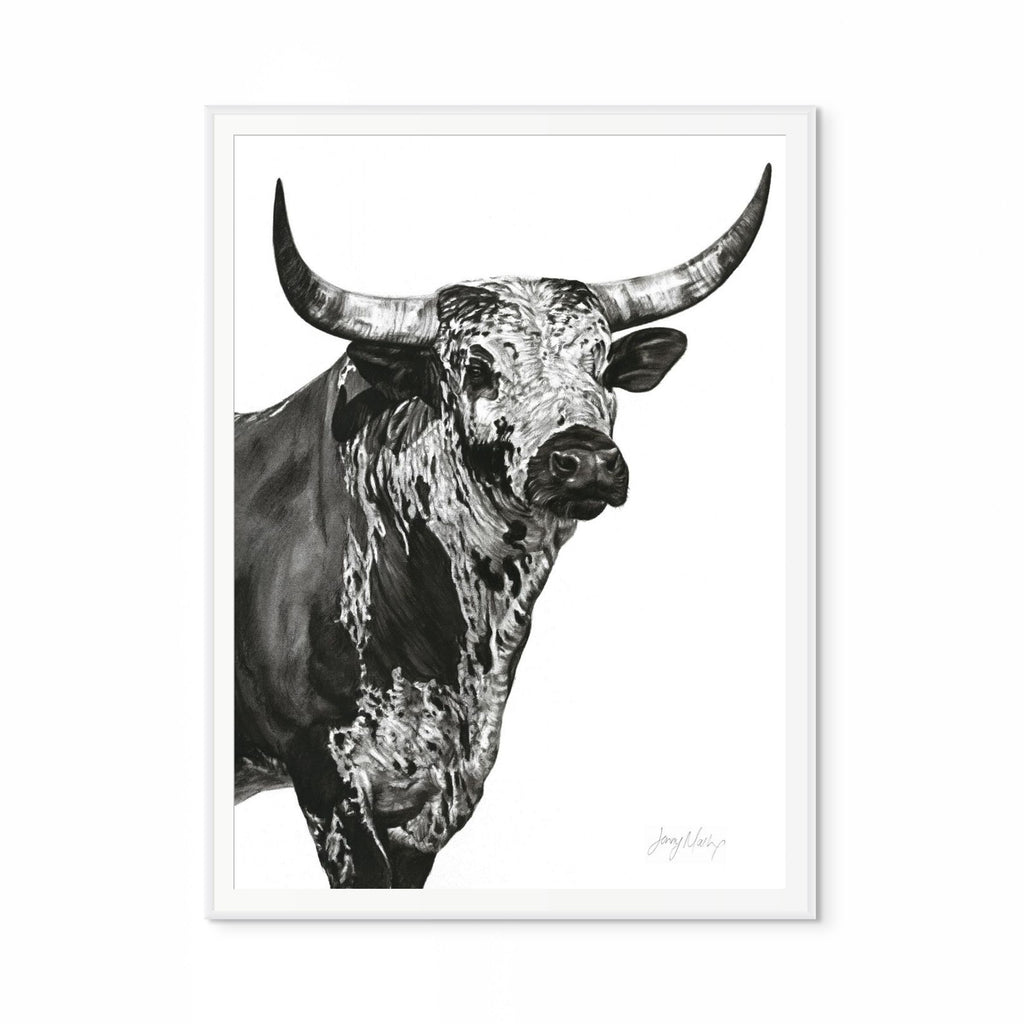 Nguni Bull Head (Portrait) Print