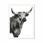 Nguni Bull Head (Portrait) Print