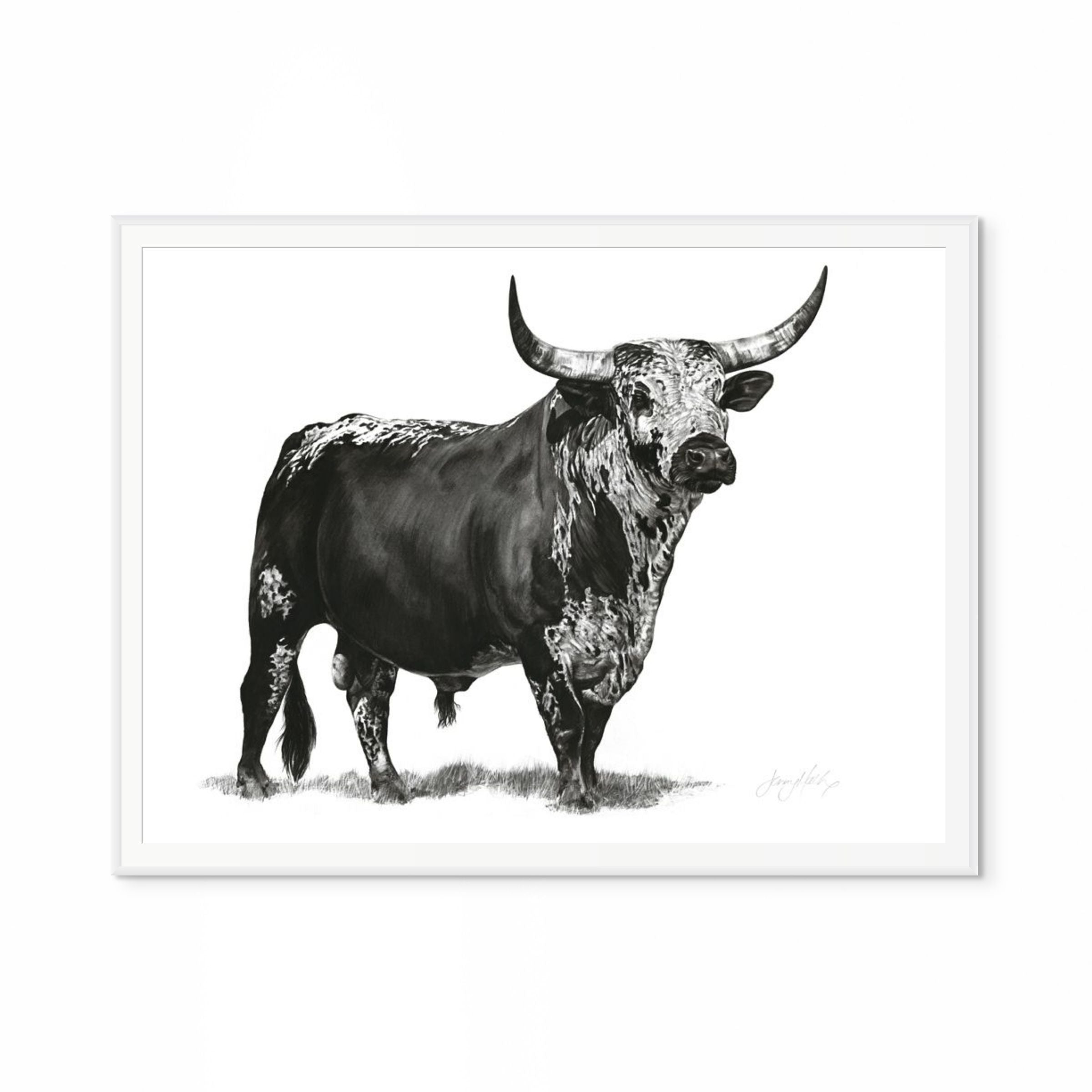 Nguni Bull Print