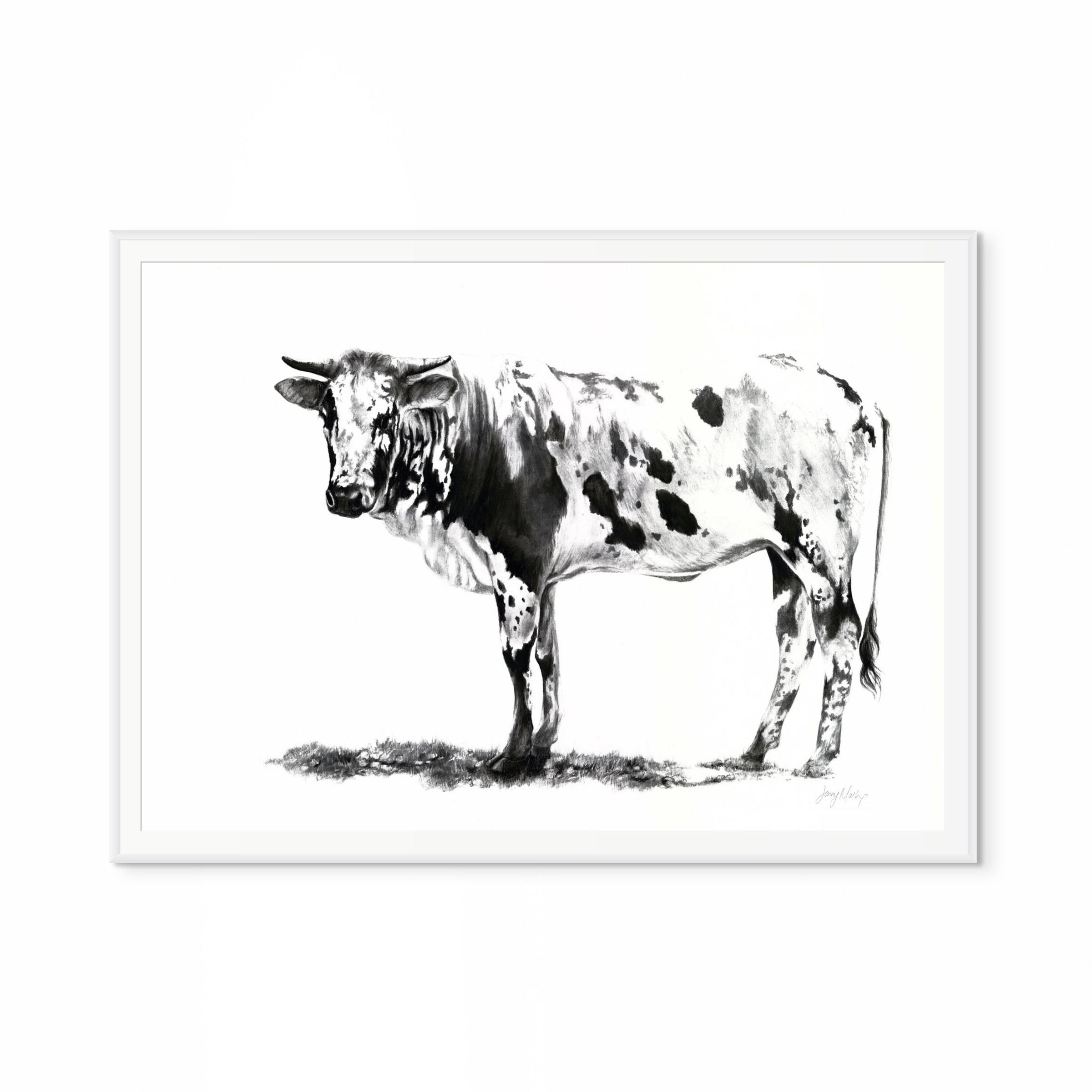 Nguni I Print