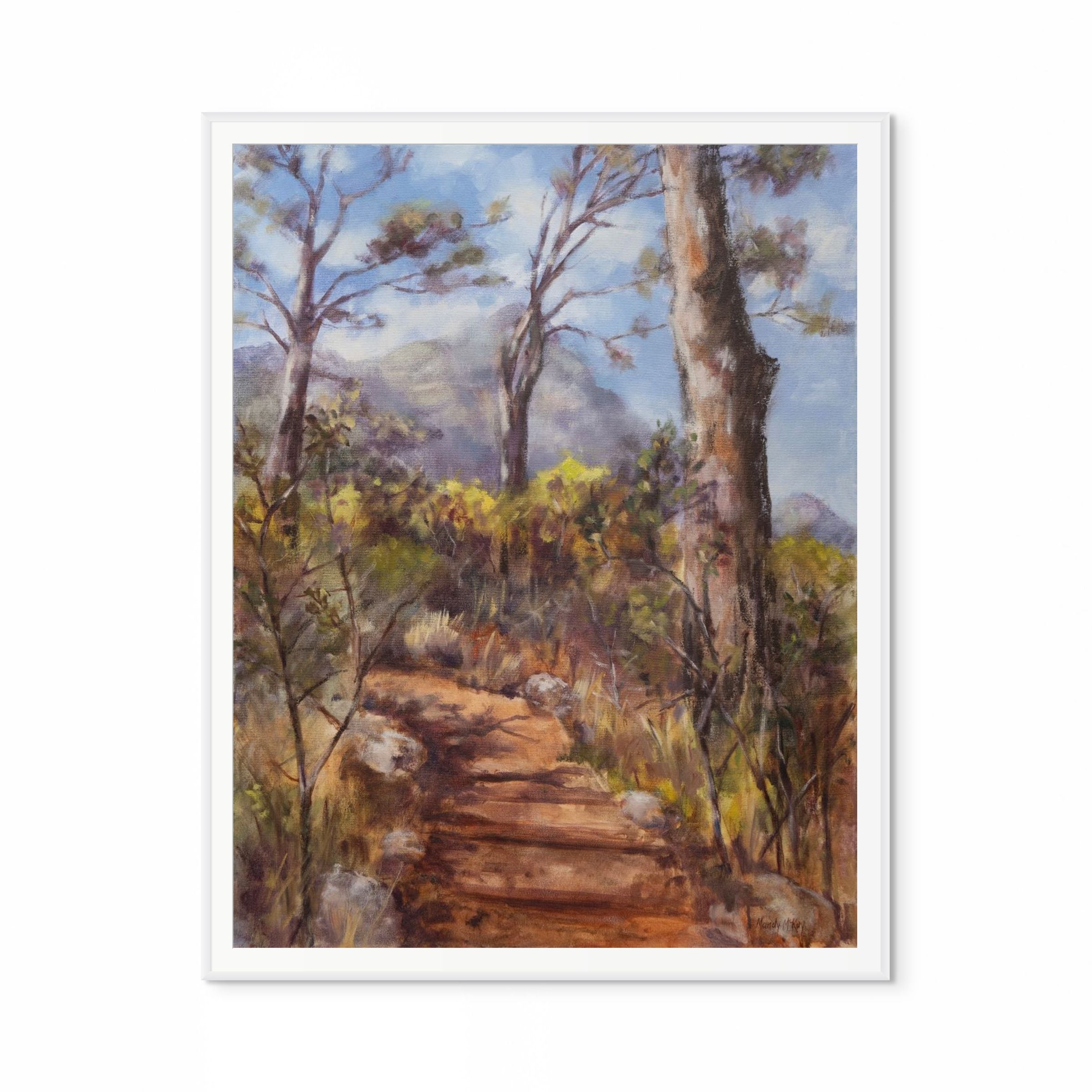 Old Stone Path & Pines In Kirstenbosch Print