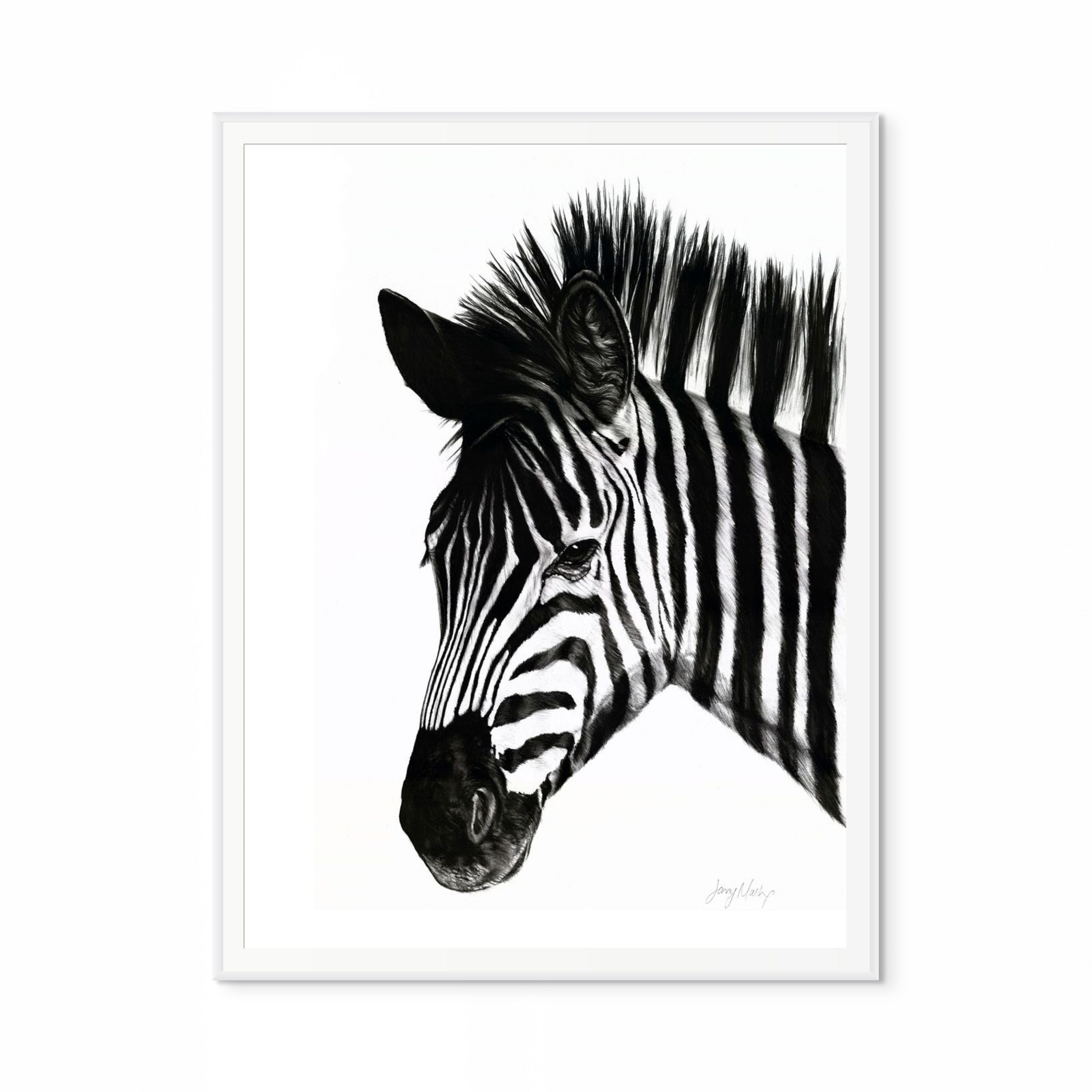 Zebra I Print