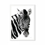 Zebra II Print