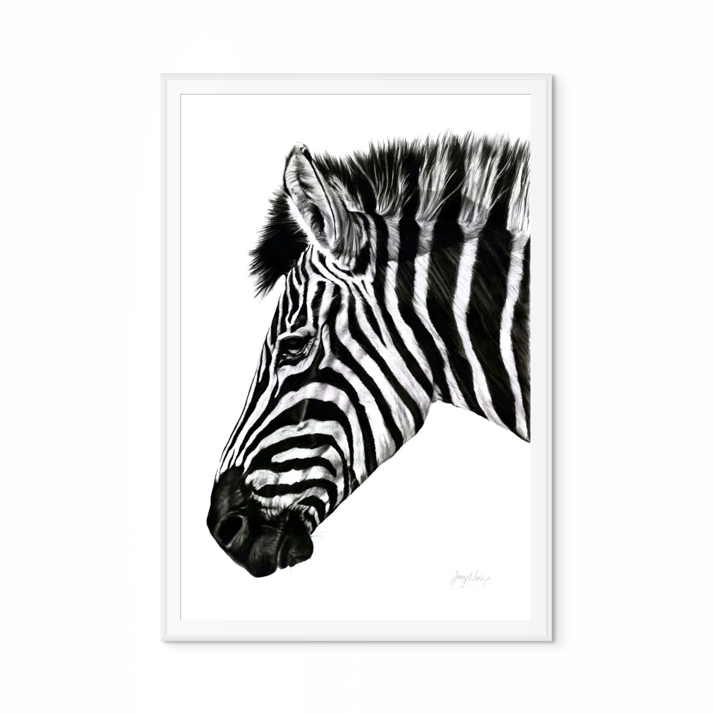 Zebra III Print