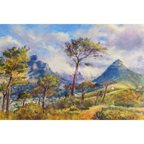 Tranquility From Signal Hill Print