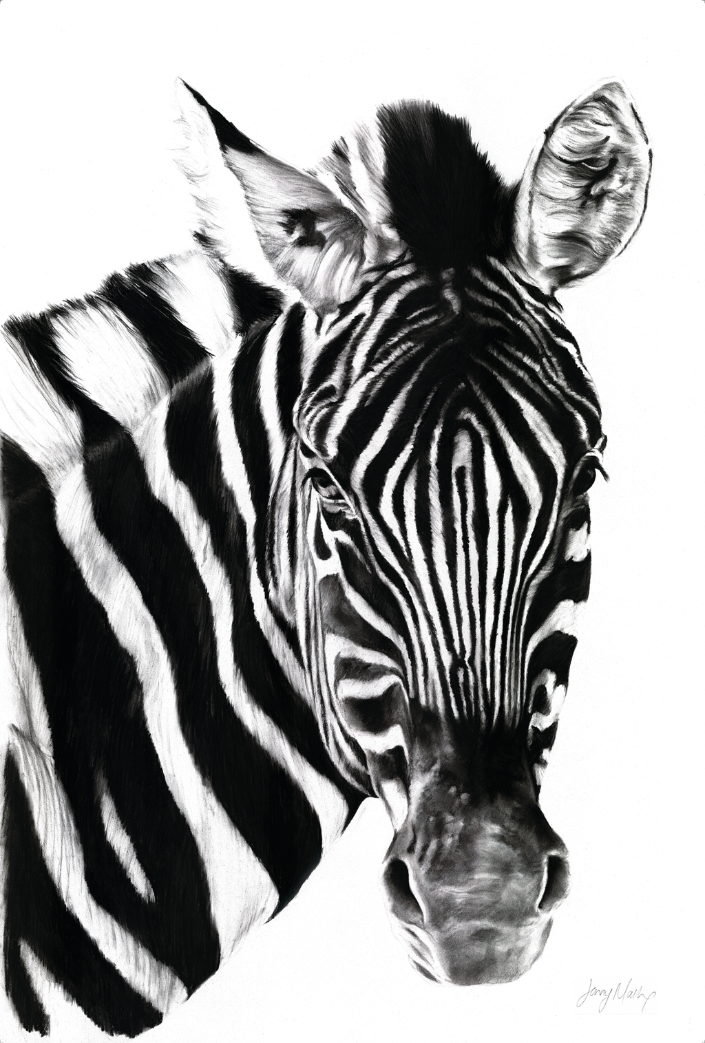 Zebra II Print