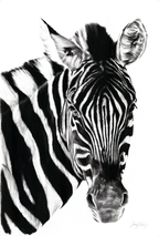 Zebra II Print