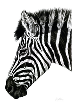 Zebra III Print
