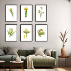 Sunshine Conebush Print