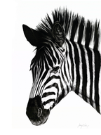 Zebra I Print